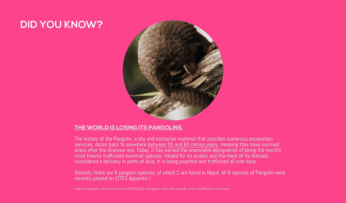 didyouknow_slide5